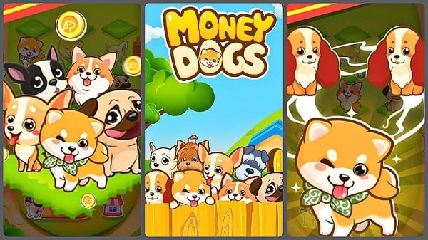 money-dog