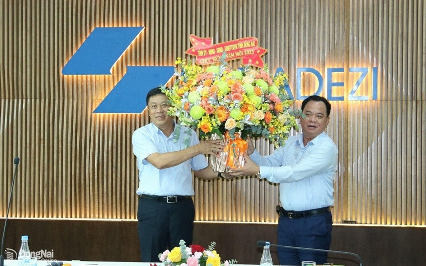 sanodezi cong bo ket qua kinh doanh 2024