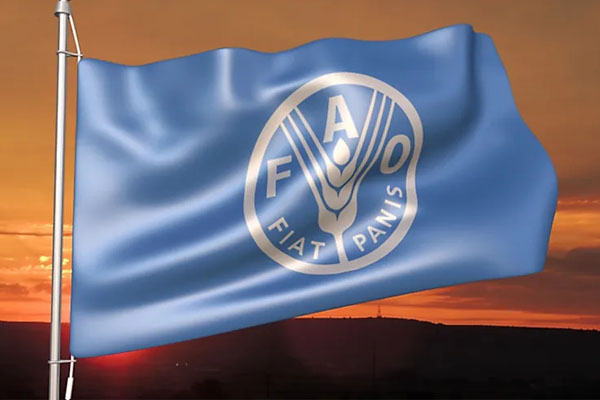FAO