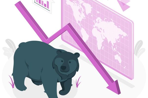 Thị trường gấu là gì? Nên làm gì để vượt qua giai đoạn thị trường con gấu?