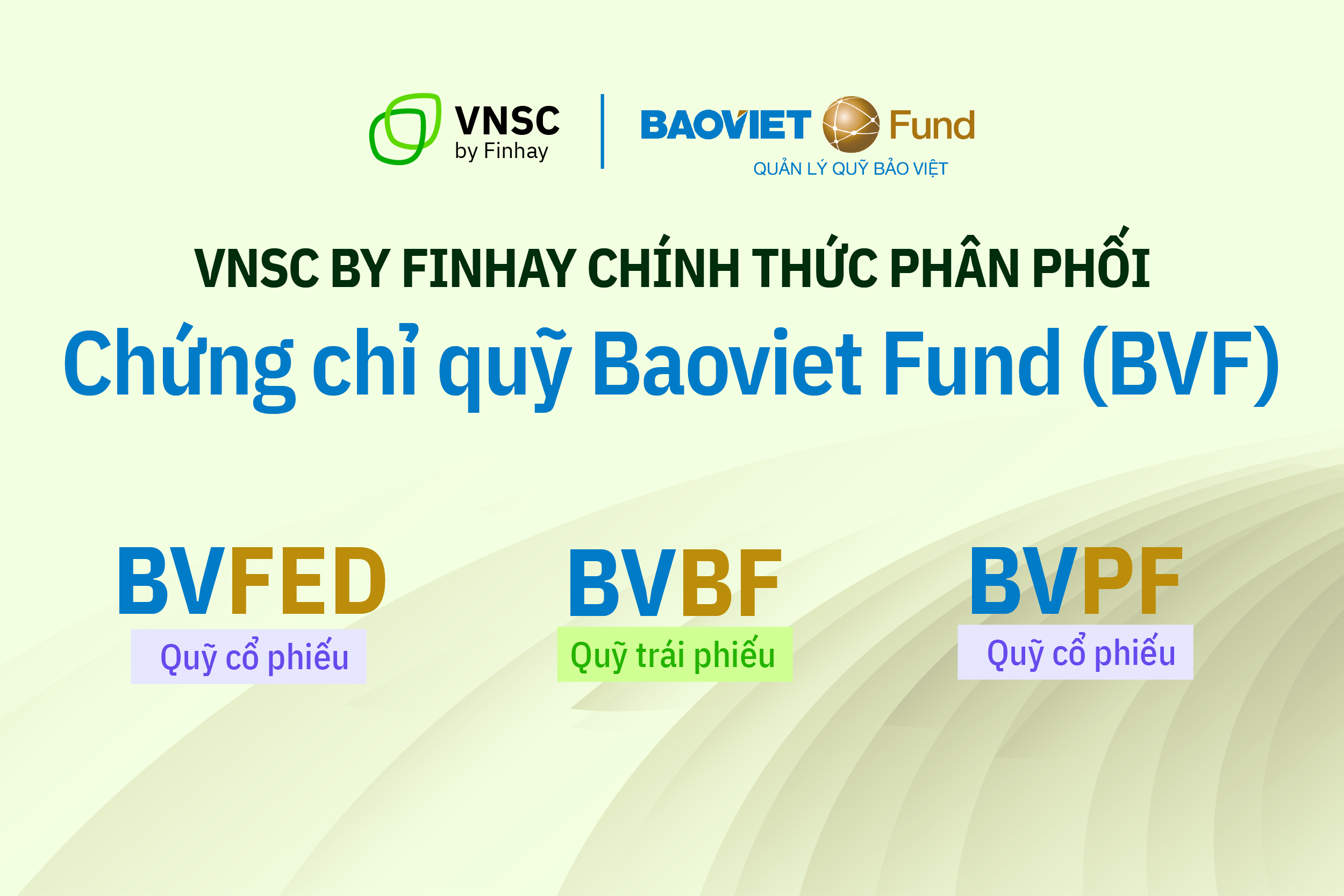 bao viet fund