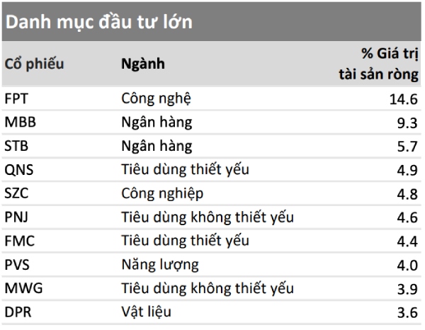 danh-muc-dau-tu-vesaf