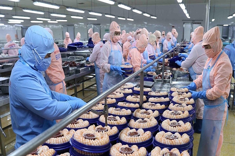 Co-phieu-thuy-san-la-gi