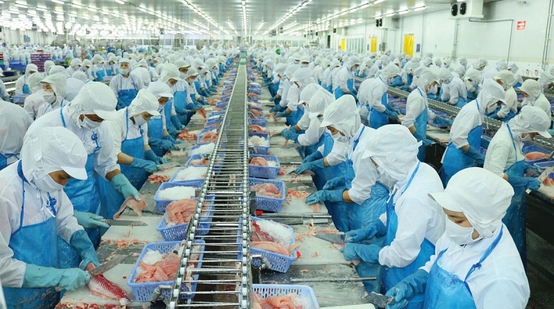 Cổ phiếu VHC – Có nên đầu tư trong năm 2025 không?