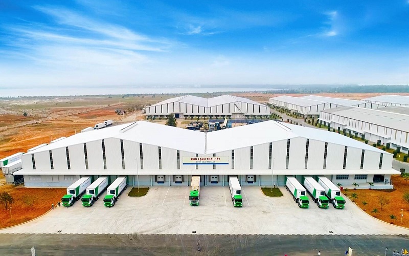 cổ phiếu Hoàng Anh Gia Lai