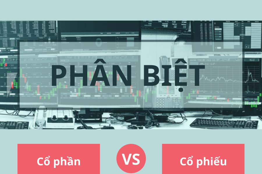 Cổ Phần và Cổ Phiếu: Phân Biệt & Hướng Dẫn Đầu Tư Cổ Phiếu Từ A-Z