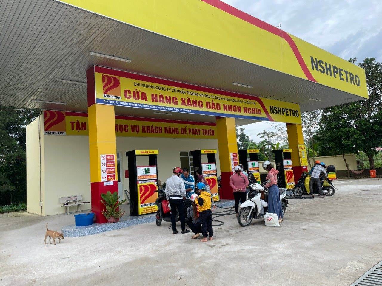 PSH: “Đại gia xăng dầu” Nam Sông Hậu thay đổi nhân sự cấp cao sau khi Tổng giám đốc bị bắt