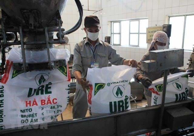 DHB: ‘Quả đấm thép’ một thời báo lỗ gần 100 tỷ trong quý 3/2025 do ngừng máy dài ngày, lỗ lũy kế hơn 2.100 tỷ đồng