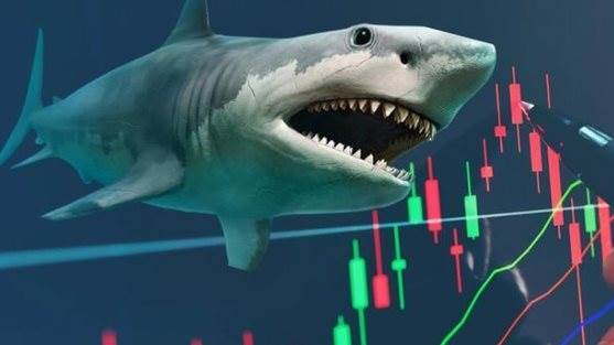 Cổ phiếu FPT và một mã ngân hàng có thể được loạt cá mập tổng quy mô 14.000 tỷ “săn lùng” trong kỳ cơ cấu quý 4