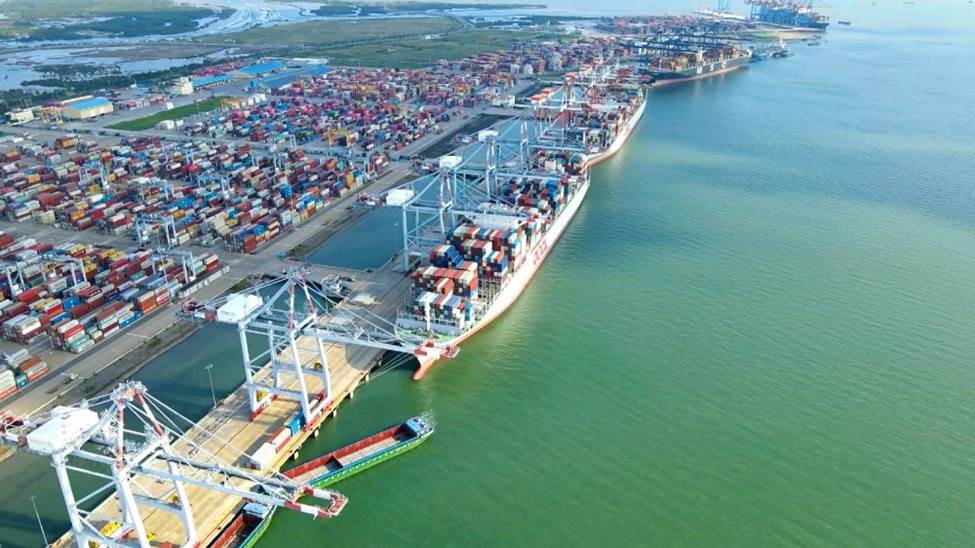 VSC: Viconship lãi 456 tỷ đồng sau 9 tháng đầu năm, tăng gần 50% so với cùng kỳ