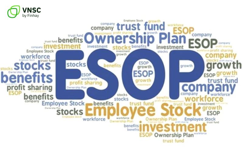 Cổ phiếu ESOP là gì? Phân tích chi tiết “con dao hai lưỡi” đối với cổ đông