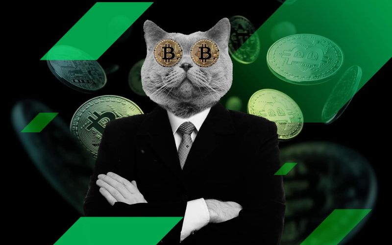 Trader là gì? Hướng dẫn cách để trade coin hiệu quả