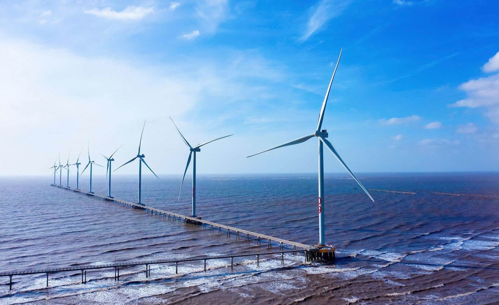 REE: Rót thêm 3.250 tỷ làm điện gió