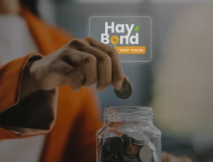 Sản phẩm Haybond của VNSC by Finhay